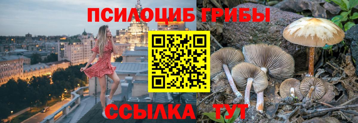 Галлюциногенные грибы Cubensis  Вход с VPN  Псилоцибиновые грибы Cubensis  Новотроицк 